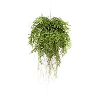 Emerald Ferigă artificială suspendată cu rădăcini, 55 cm