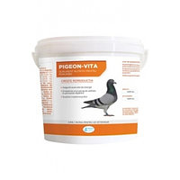 Supliment nutritiv pentru porumbei Pigeon-Vita, Pasteur 4 kg