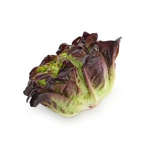 Productie vegetala