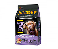 Hrana uscata pentru caini, JULIUS K-9 HighPremium Puppy Junior Hypoallergenic Miel si Orez 12 kg