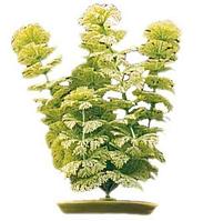 Plante acvariu, Marina Ambulia 37.5 CM PP1502