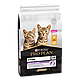 Hrana uscata pentru pisici, Pro Plan Original Kitten Pui, 10Kg 10 kg - foto 1 - id-p94507847
