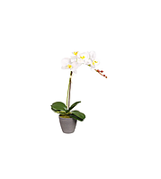 Orhidee alba decorativa cu ghiveci, 10 x 38 cm
