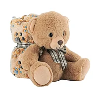 Set păturică și ursuleț pluș 22cm