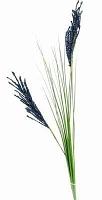 Floarea celebritatii, gloriei si faimei - 95 cm