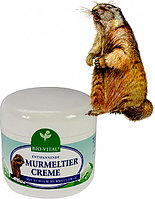 Crema pentru dureri articulare cu ulei de marmota Bio-Vital 125 ml