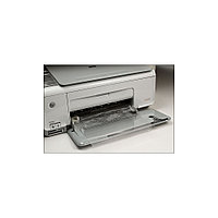 3503-00 Folie transfer printabila modelaj/sculptura pielarie.