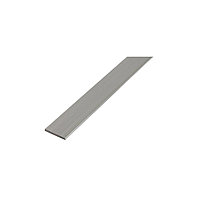 Platbanda aluminiu, L 1000 mm (Dimensiune: 50 x 3 mm)