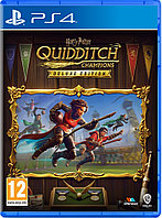 Harry Potter Quidditch Champions Deluxe Edition