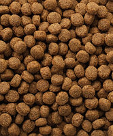 Hrana uscata pentru caini juniori Versele Laga Classic, Puppy, 10 kg
