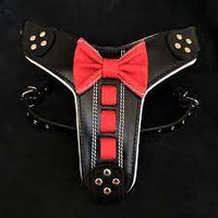 Bestia Ham Caini Bowtie-Papion, Piele Naturala, Negru/Rosu