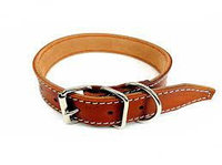 Exotic-K Zgarda piele naturala maro pentru caini- 40mm x 75cm