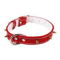 Exotic-K Zgarda Piele cu Colti Tip pentru caini-35 mm/75 cm