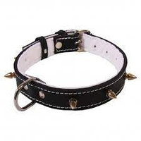 Exotic-K Zgarda Piele cu Colti Tip pentru caini-30 mm/65 cm