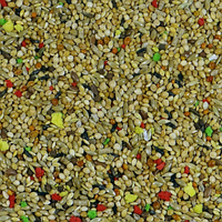 Hrana completa pentru pasari tropicale Witte Molen 1kg