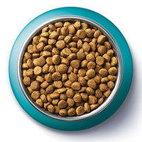 Purina ONE Indoor Formula-750 g Hrana uscata pentru pisici