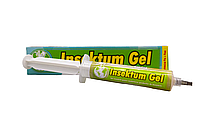 INSEKTUM GEL