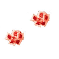 RUBIS Momeala raticida sub forma de pasta rosie (10kg 10gr/plic)