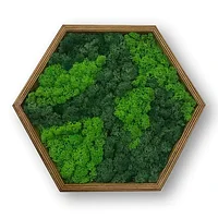 Tablou hexagonal cu licheni stabilizati, muschi naturali LoveLasy, rama lemn, 40 x 35 cm, Verde deschis/Verde