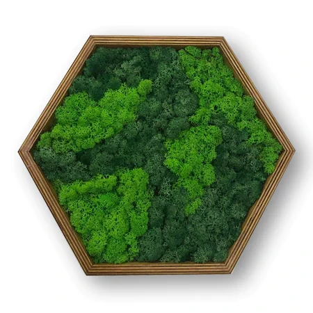 Tablou hexagonal cu licheni stabilizati, muschi naturali LoveLasy, rama lemn, 40 x 35 cm, Verde deschis/Verde - foto 1 - id-p90161702