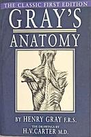 GRAY&#039;S ANATOMY. ANATOMY DESCRIPTIVE AND SURGICAL-HENRY GRAY