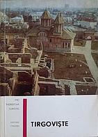 TARGOVISTE-GABRIEL MIHAIESCU, EUGEN FRUCHTER