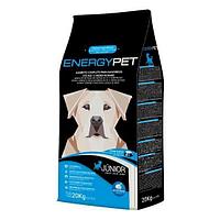 Hrana uscata pentru caini Junior EnergyPet 4 KG