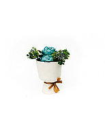 Aranjament Floral Bujori Vaza Ceramica