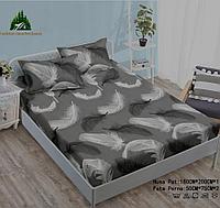 Set Husa de Pat cu Elastic din Finet, pentru Pat Dublu, 3 Piese, 2 Fete de Perna, Gri cu Pene