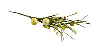 Crenguta decorativa oua paste L