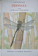 FAUNA D&#039;ITALIA VOL.1 ODONATA -CESARE CONCI, CESARE NIELSEN