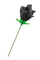 Chiloti Trandafir Negru