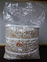 Pungi autoclavabil cu filtru pentru cultivarea ciupercilor 30 x 50 cm