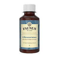 Tinctura gliconormus 200ml