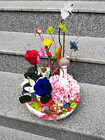 Aranjament floral cu plante stabilizate in vas pictat