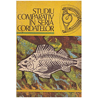 Autor colectiv - Studiu comparativ in seria cordatelor - 130202