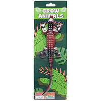 Jucarie Reptila care creste in apa LG Imports LG9329