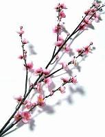 Crenguta cu flori de mar roz - 120 cm