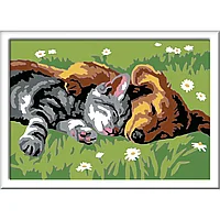 PICTURA PE NUMERE - CATELUS SI PISICUTA - RAVENSBURGER (RVSPBN28930)