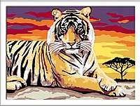 PICTURA PE NUMERE - TIGRU - RAVENSBURGER (RVSPBN28937)