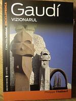 GAUDI VIZIONARUL-P. THIEBAUT