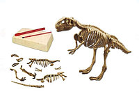 Set excavare fosile de dinozaur, + 3 ani