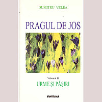 Dumitru Velea - Pragul de jos. Volumul II. Urme si pasiri - 136689