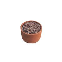 Grit rosu Ostrea in vas de ceramica
