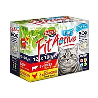 Hrana umeda pisici FitActive box 12 x 100 gr