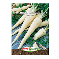 Seminte patrunjel radacina Berliner 5g