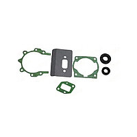 Set garnituri + simeringuri motocoasa