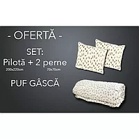 SET Pilota de iarna pentru pat de doua persoane + 2 perne patrate din puf de gasca cod PG12