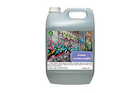 Solutie de curatat Graffiti - Graffiti Clean AB