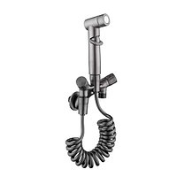 Portable Toilet Spray Gun, Gray, BLIOTE